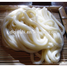 FROZNE UDON NOODLES